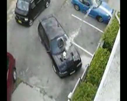 Keeping Cat Off Car